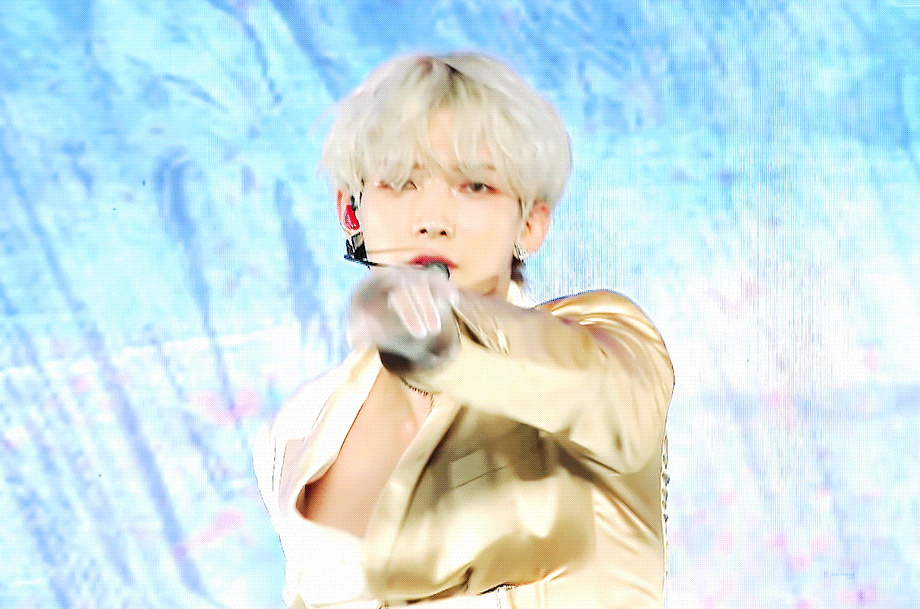 [잡담] 본인이 도베르만이라고 주장하는 말티즈 | 인스티즈