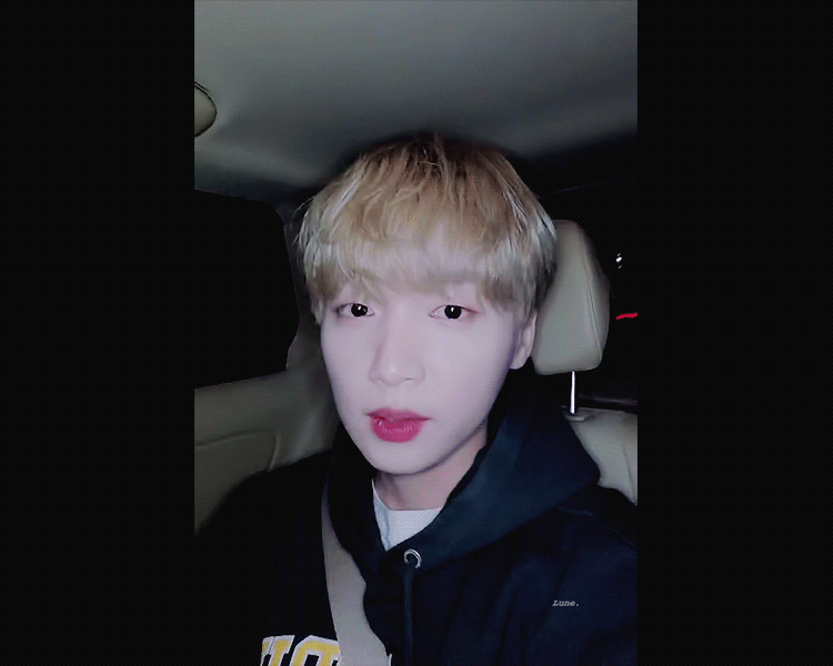 [잡담] 정세운 작가도 해 이제 | 인스티즈