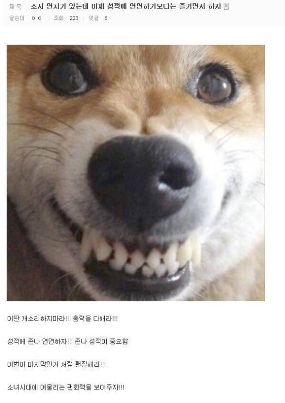 [잡담] 아 난 소시팬이 올린 이글이 아직 너무 웃김 ㅋㅋㅋㅋㅋㅋㅋ | 인스티즈