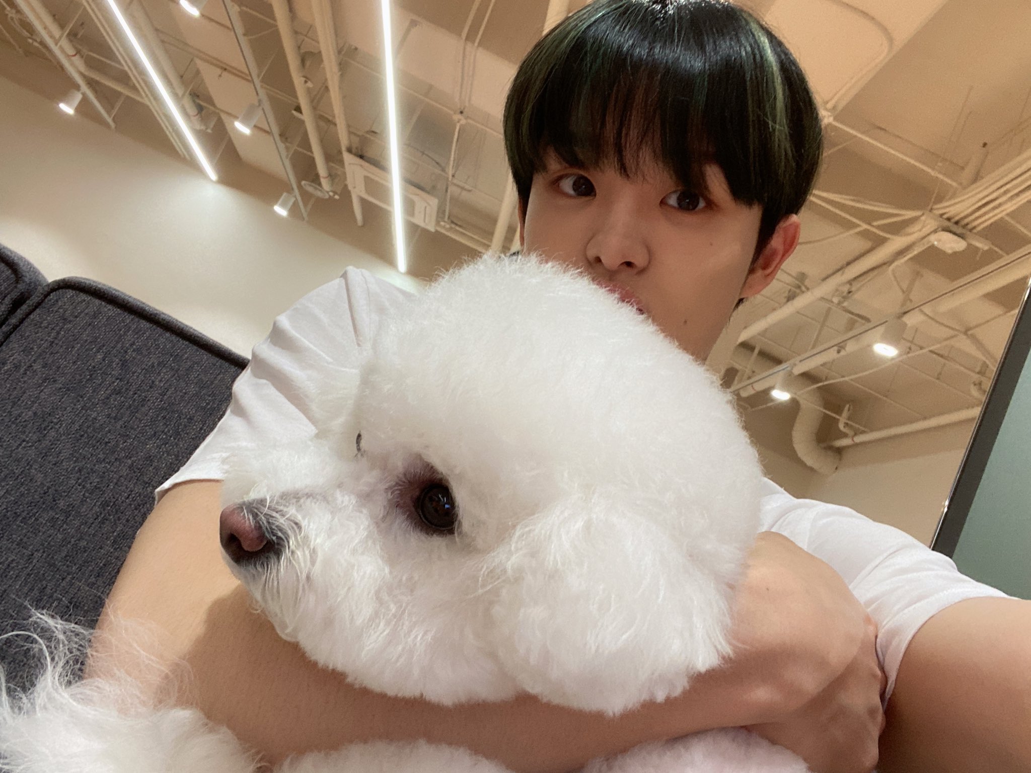 [잡담] 트레저가 사옥에서 찍은 강아지 뭐지 | 인스티즈