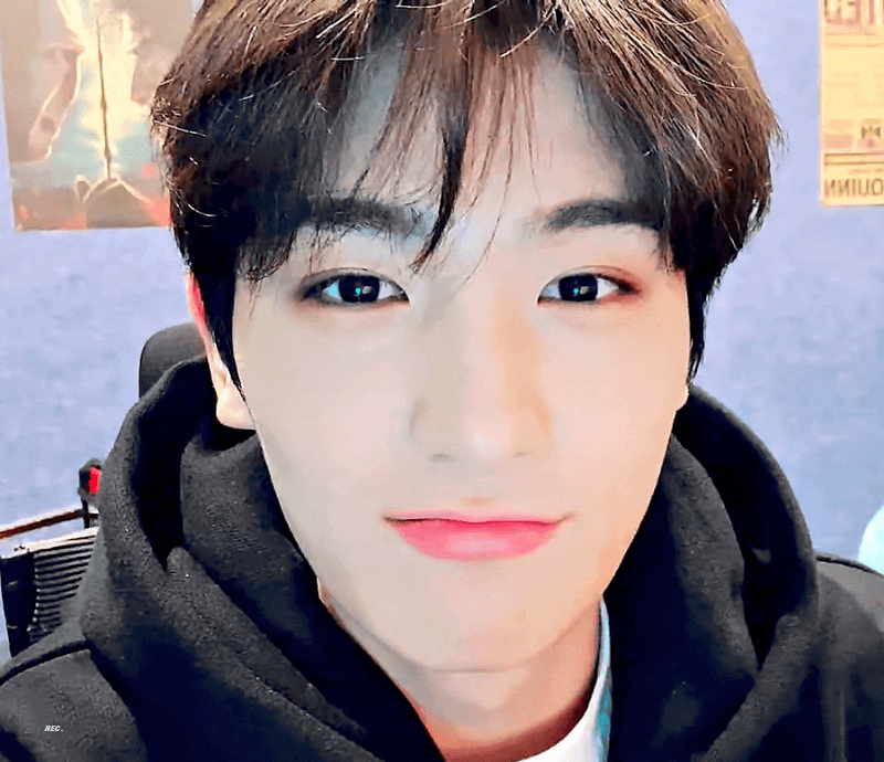 [잡담] 더보이즈 현재 팬들아 | 인스티즈