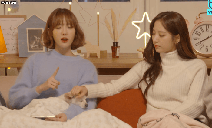 [잡담] 정말 같은 그룹인데 그림체가 달라… | 인스티즈