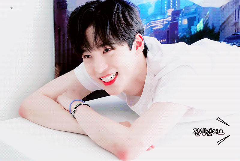 [잡담] 모에화도 강아지 생일도 세계 강아지의날에 태어난 우리집강쥐🐶 | 인스티즈