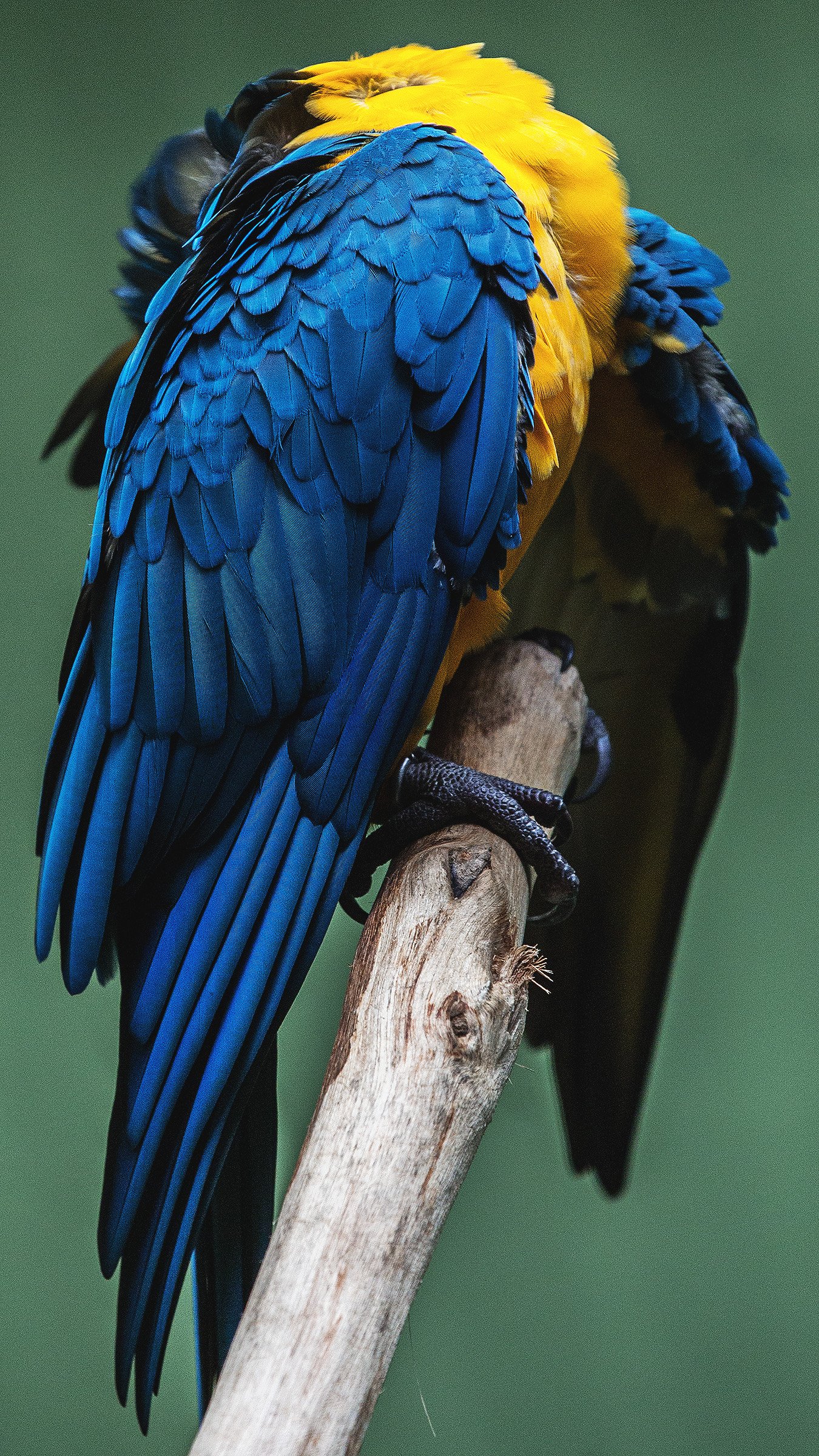 [잡담] 내 기준 만우절 홈마 사진 레전드 | 인스티즈