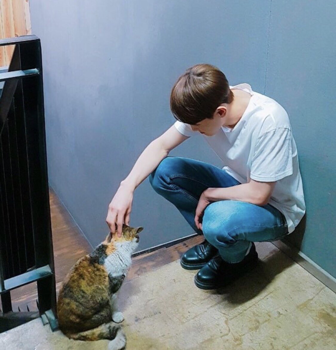 [잡담] 이거 아이돌 사진 같아?? | 인스티즈