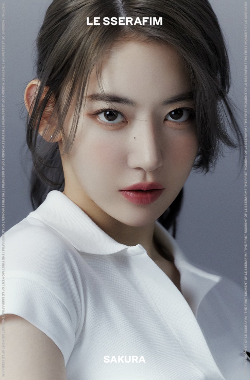 [잡담] 사쿠라 공개된거 너무 내 완식이라 당황스럽다 | 인스티즈