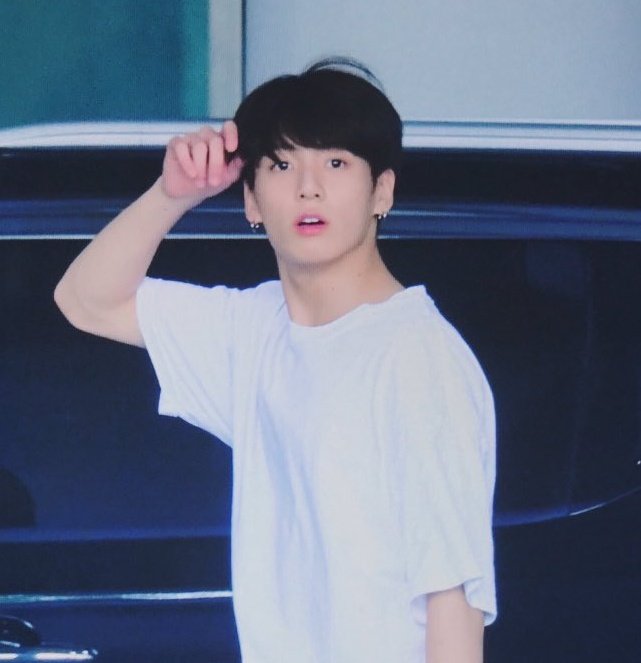 [잡담] 정구기 벨루가 | 인스티즈