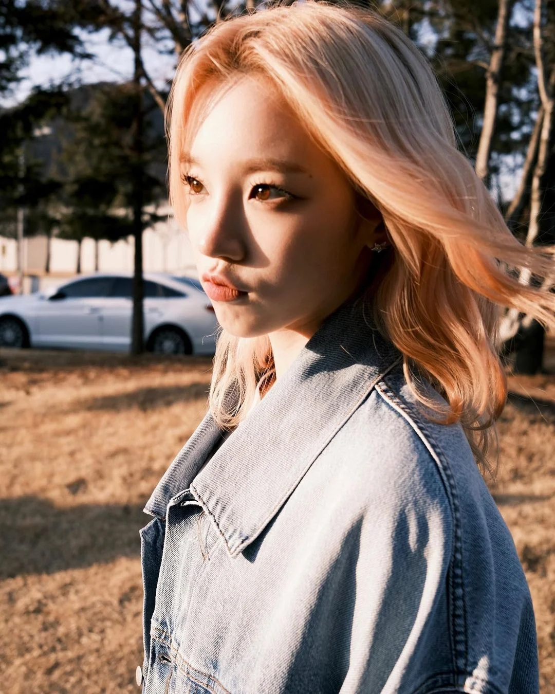 [잡담] 헉 우기 필름 사진들 분위기 미쳤다 필카 감성 낭낭 | 인스티즈