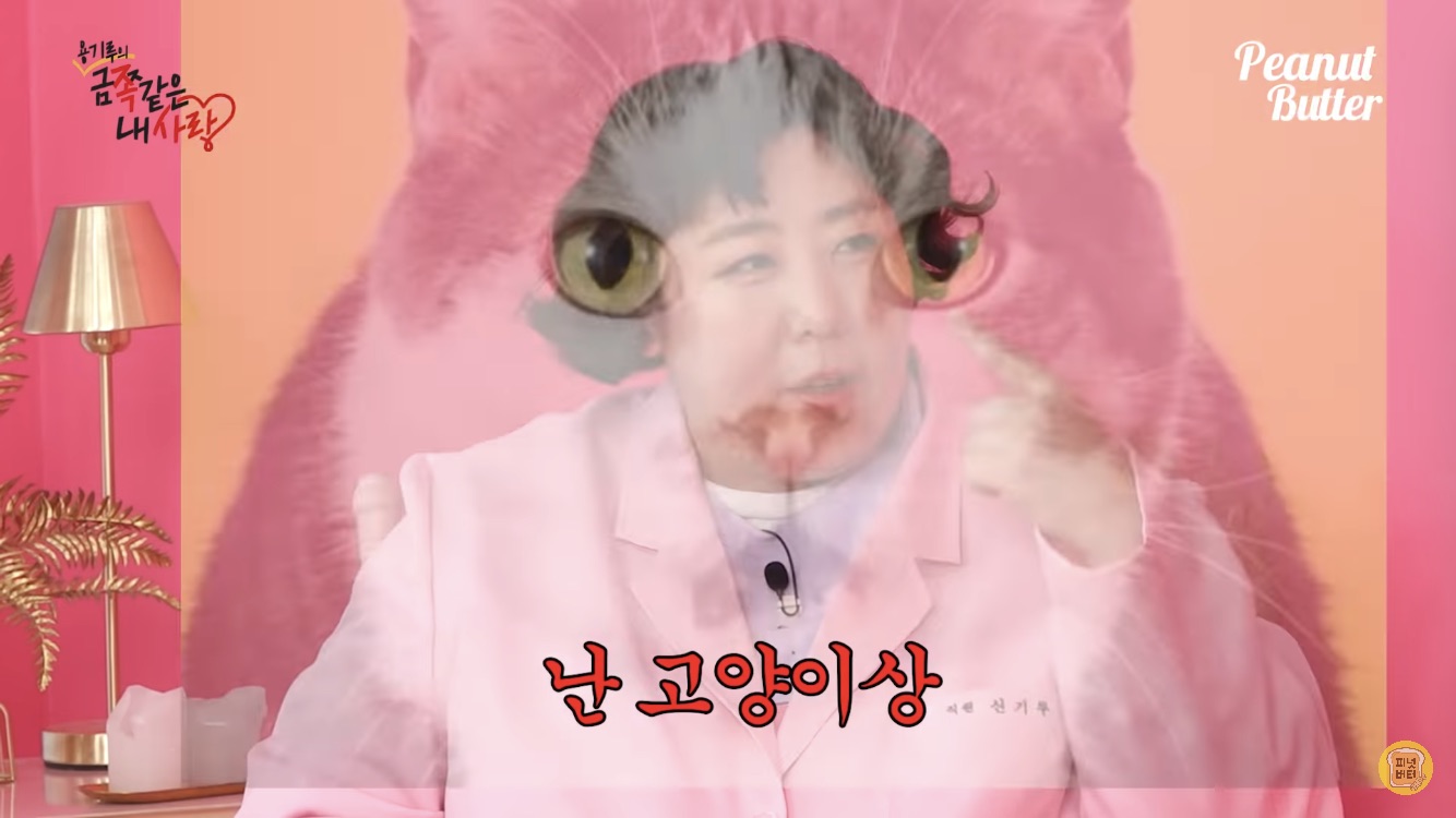 [잡담] 이용진 신기루 티키타카 너무 좋아 | 인스티즈