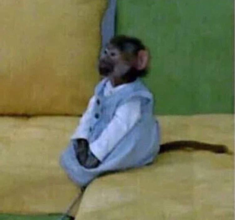 [잡담] 방탄 그래미무대 팬이 올린 영상만 거의 500만뷰 | 인스티즈