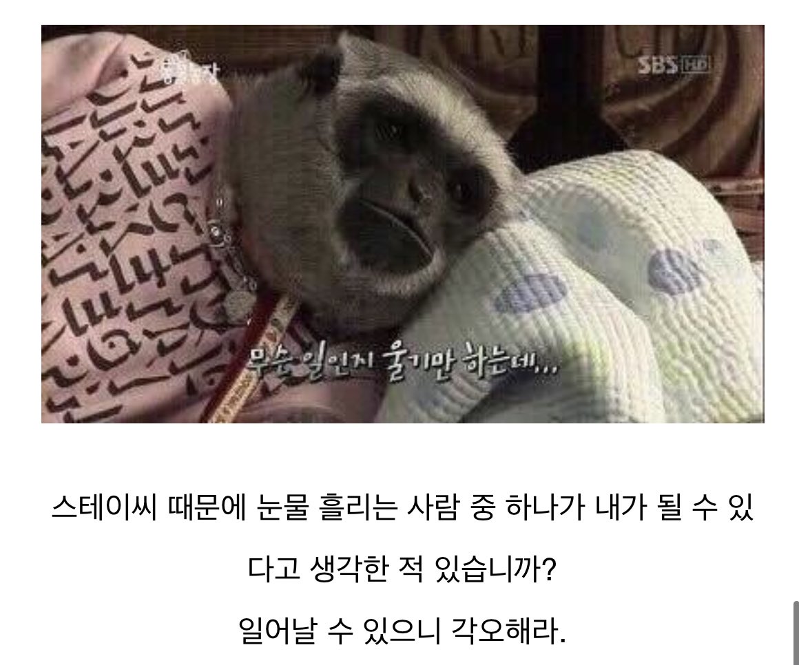 [잡담] "벼락 다섯번 맞고 절벽에서 떨어져도 살아날 확률" | 인스티즈