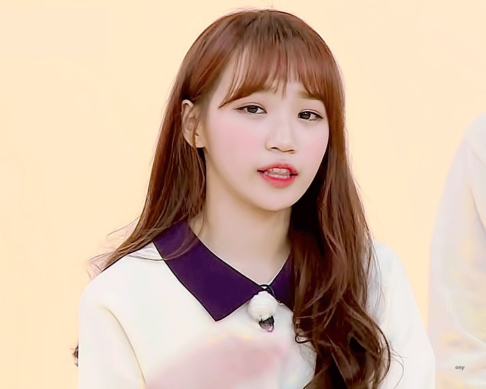 [잡담] 채원팬들아 들어와서 심신 안정 하구 가 | 인스티즈