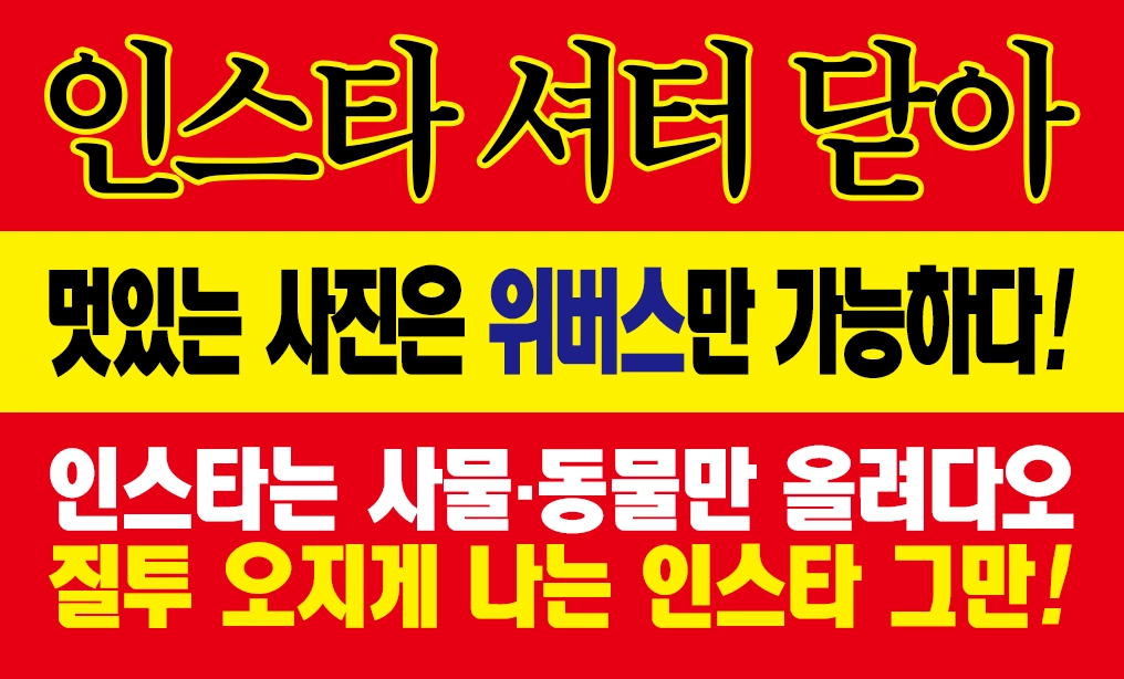 [잡담] 세븐틴 인스타 | 인스티즈