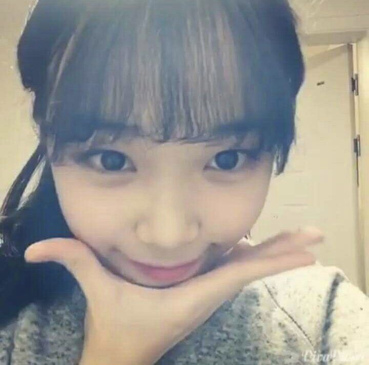 [잡담] 르세라핌 네번째멤버 과사 (김채원이요김채원) | 인스티즈