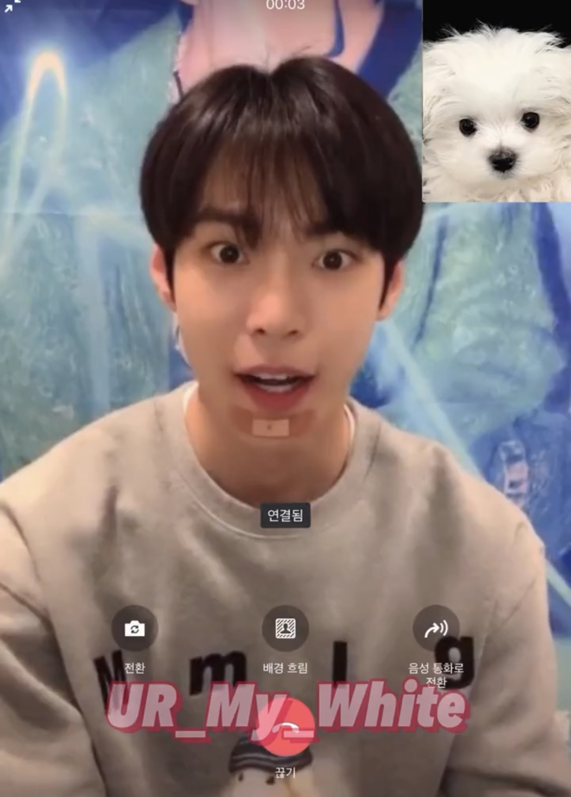 [잡담] 큰방 도영들아 이거 왜이렇게 귀엽니 | 인스티즈