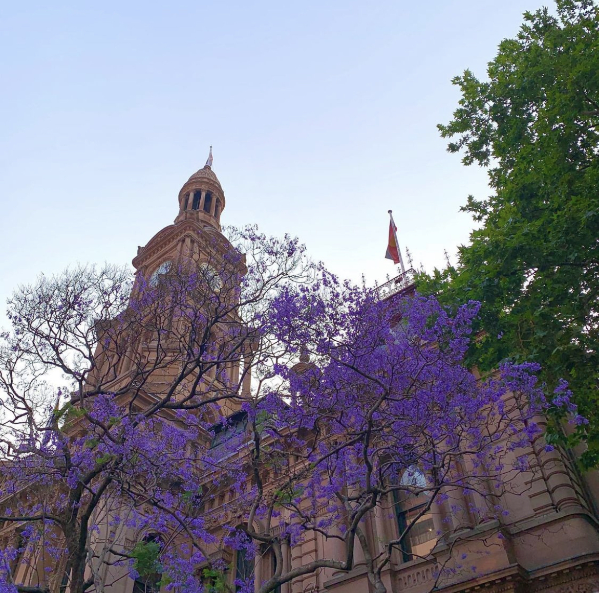 [잡담] 데이식스 원필이 찍은 풍경들 | 인스티즈