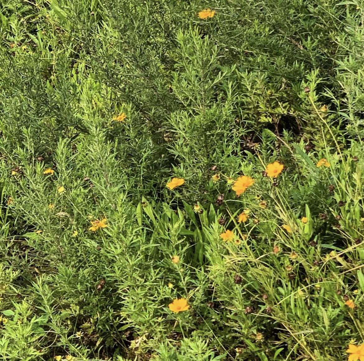 [잡담] 데이식스 원필이 찍은 풍경들 | 인스티즈