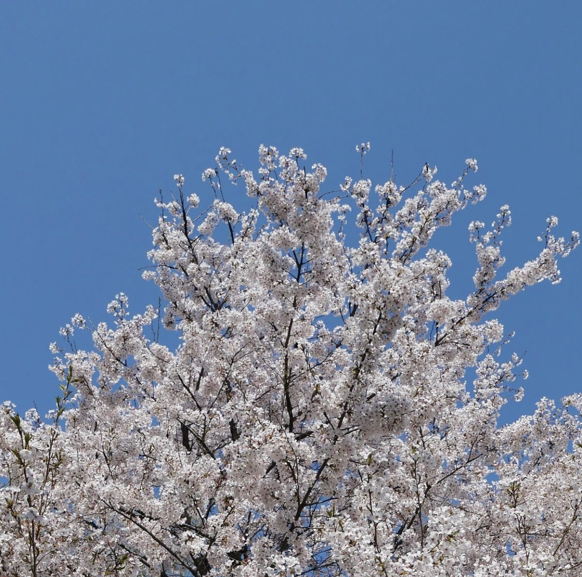 [잡담] 데이식스 원필이 찍은 풍경들 | 인스티즈