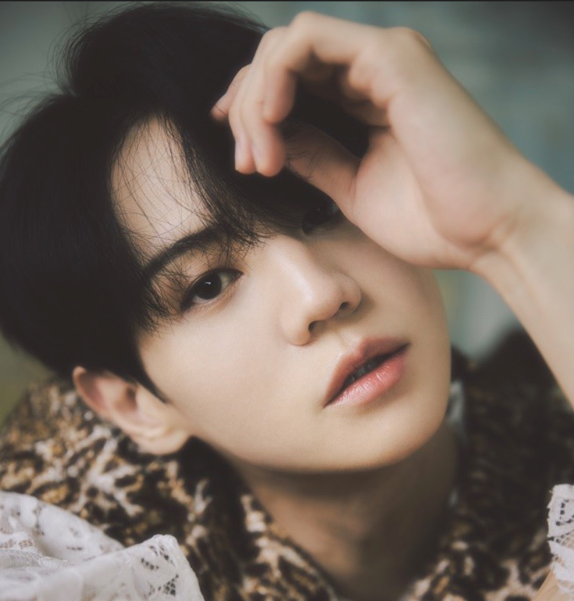 [잡담] 이정도면 취향 소나무 인정? | 인스티즈