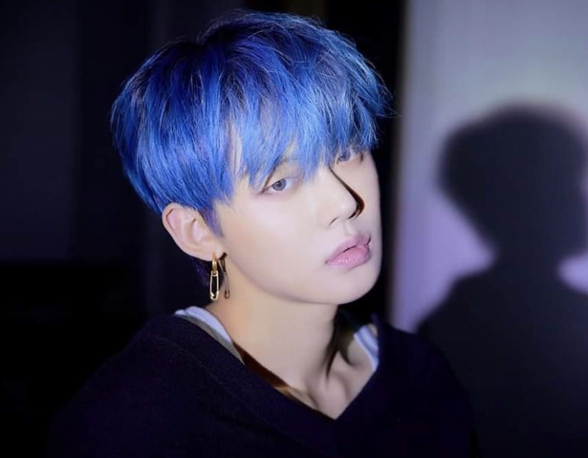 [잡담] 이정도면 취향 소나무 인정? | 인스티즈