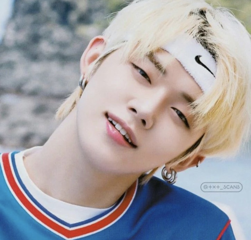 [잡담] 이정도면 취향 소나무 인정? | 인스티즈