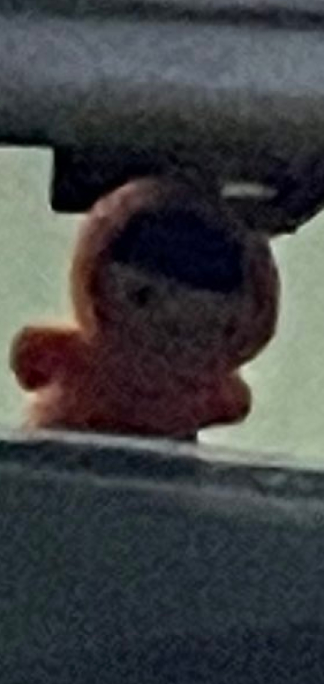 [잡담] 이거 아이돌 인형인 거 같은데 누굴까?? | 인스티즈