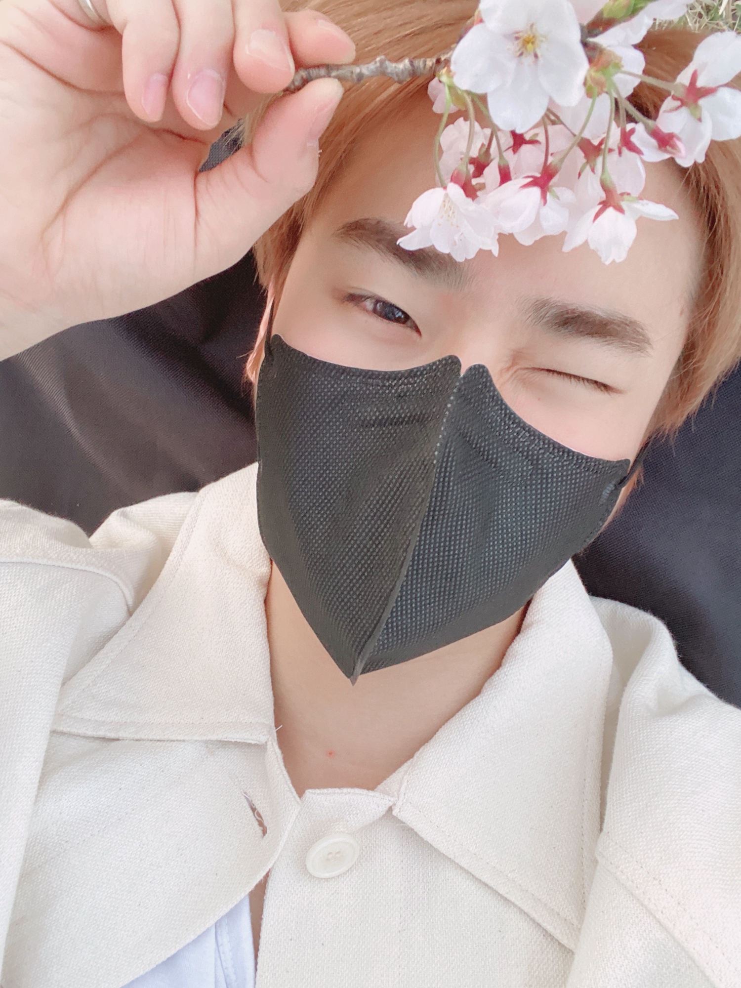 [잡담] 벚꽃이랑 셀카 찍어서 굿나잇 인사로 올려준 우리 깜찌기... | 인스티즈