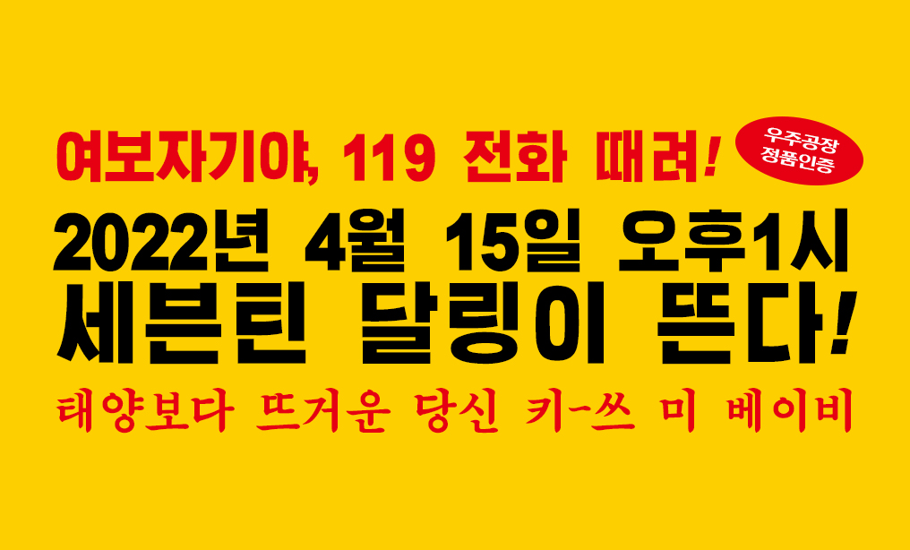 [잡담] 세븐틴᯽달링᯽많관부 | 인스티즈