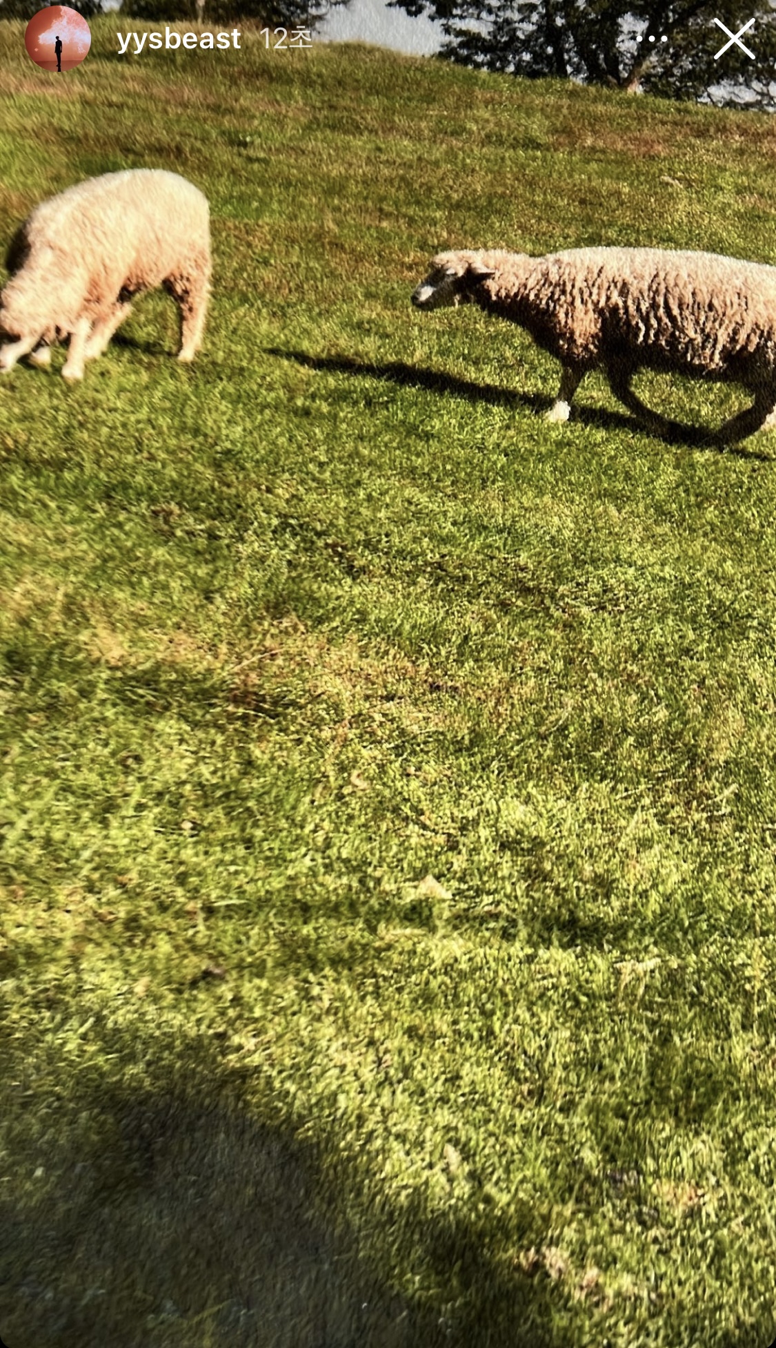 [잡담] 다들 양요섭 팔로 왜 안햌ㅋㅋㅋㅋㅋㅋㅋㅋㅋㅋㅋ | 인스티즈