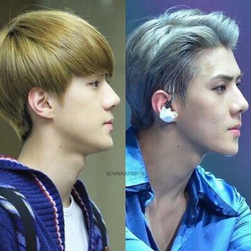 [잡담] 어떻게 사람이 꽃사슴에서 늑대가 될 수 있냐며 | 인스티즈