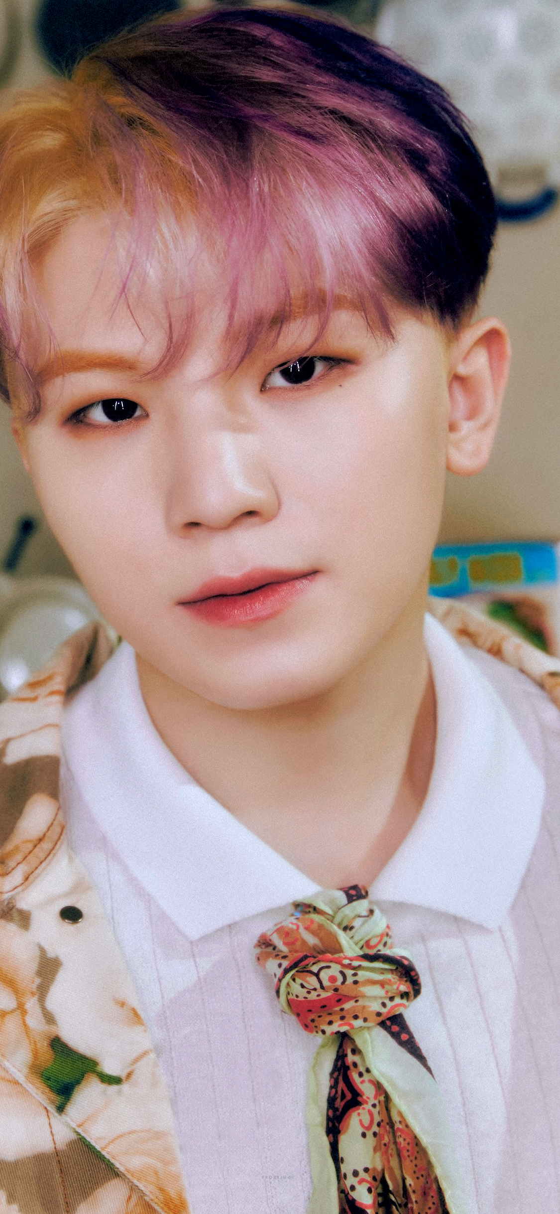 [잡담] 아기솜사탕요정 | 인스티즈