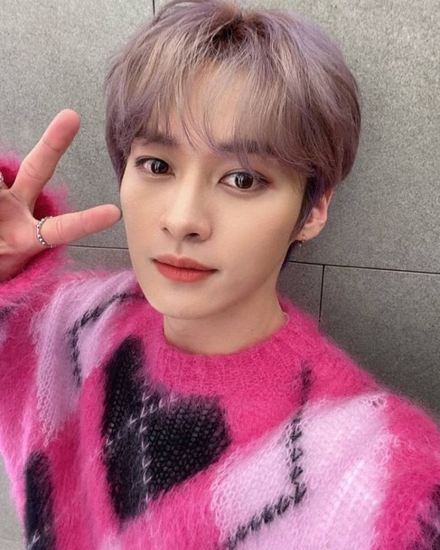 [잡담] 이거 핑크니트 정보 아는사람 ㅠㅜ! | 인스티즈