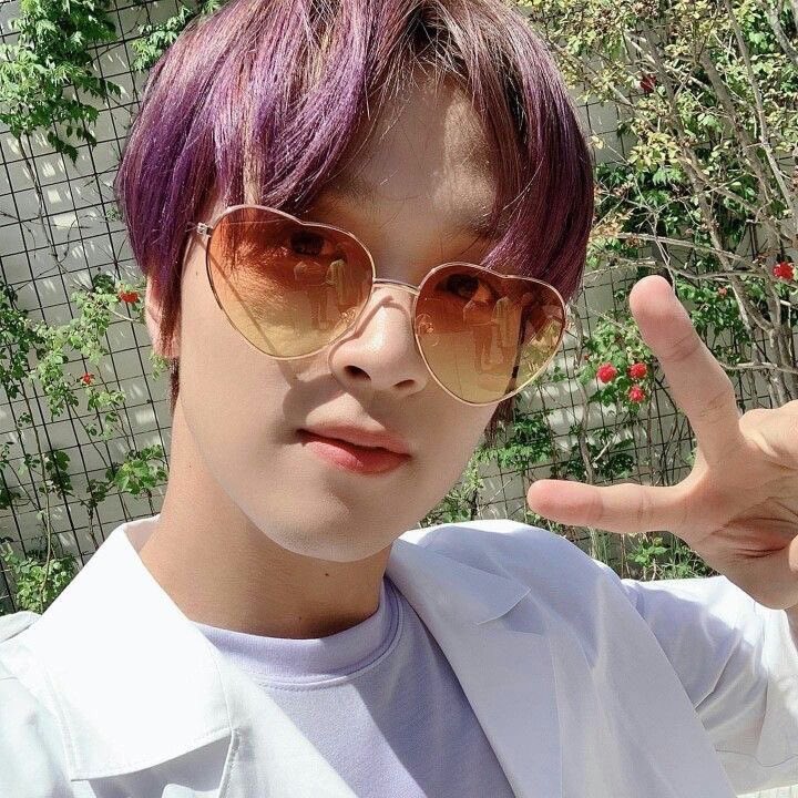 [잡담] 이 선글라스 예쁘다 | 인스티즈