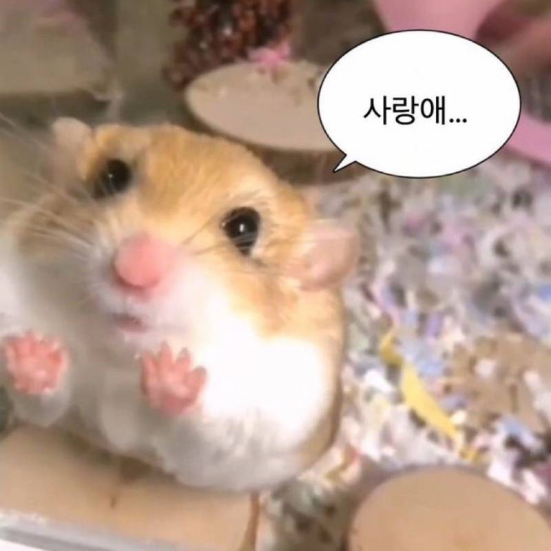 럭 팩토리 이미지