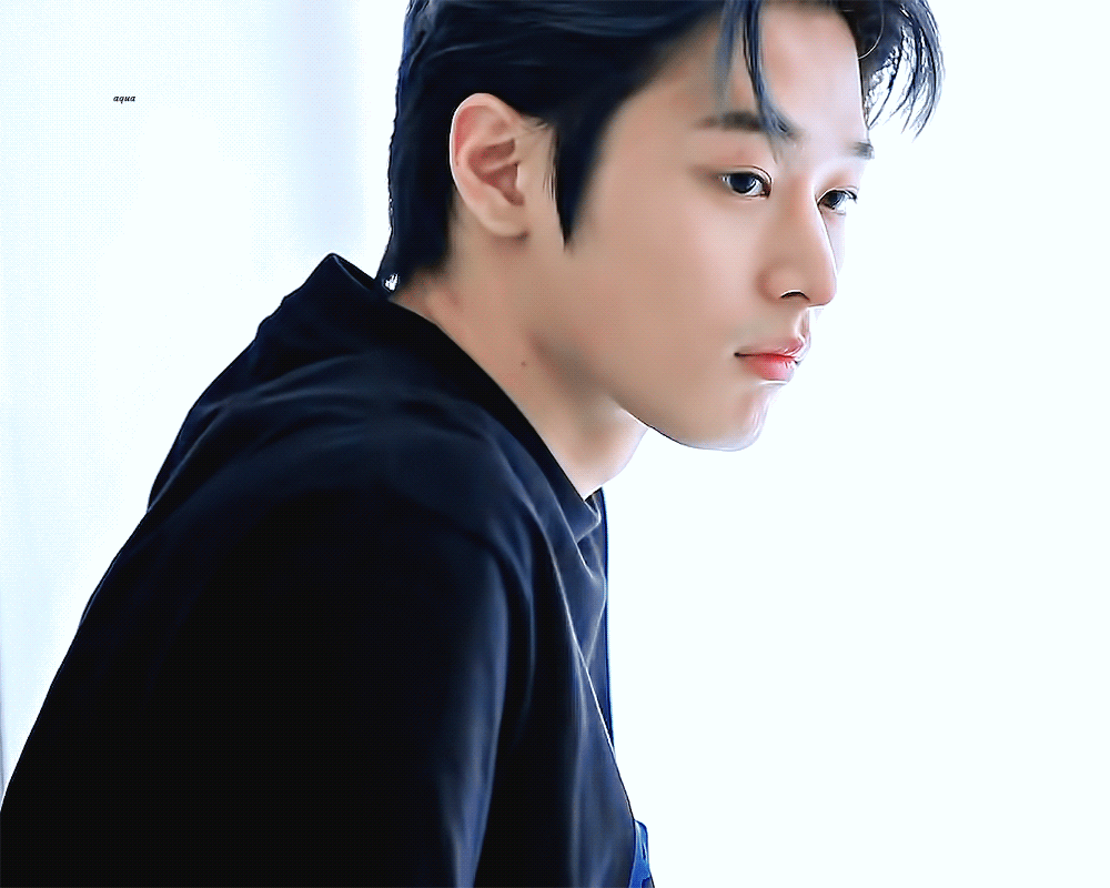 [잡담] 나 아무래도 소나무인듯 | 인스티즈