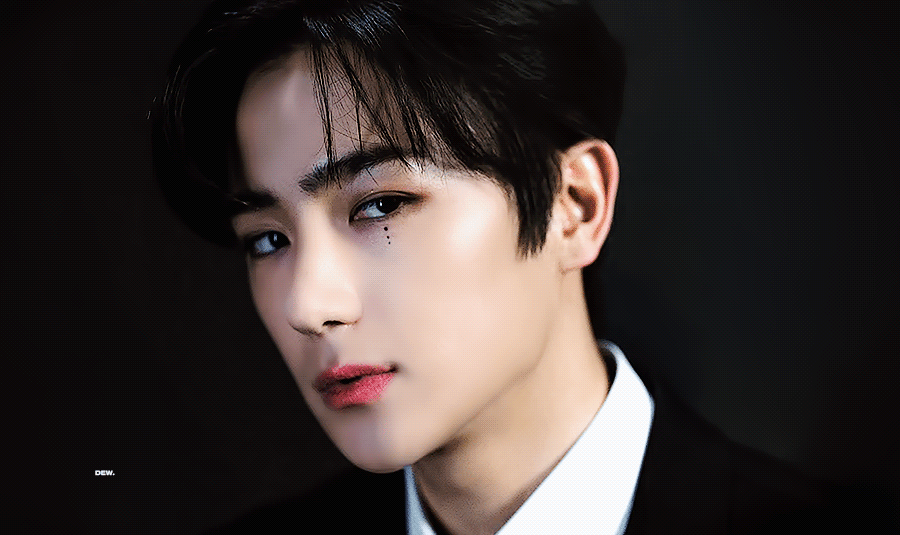 [잡담] 이 남자는 팬들한테 모기 잡는 꿀팁을 알려줍니다 | 인스티즈