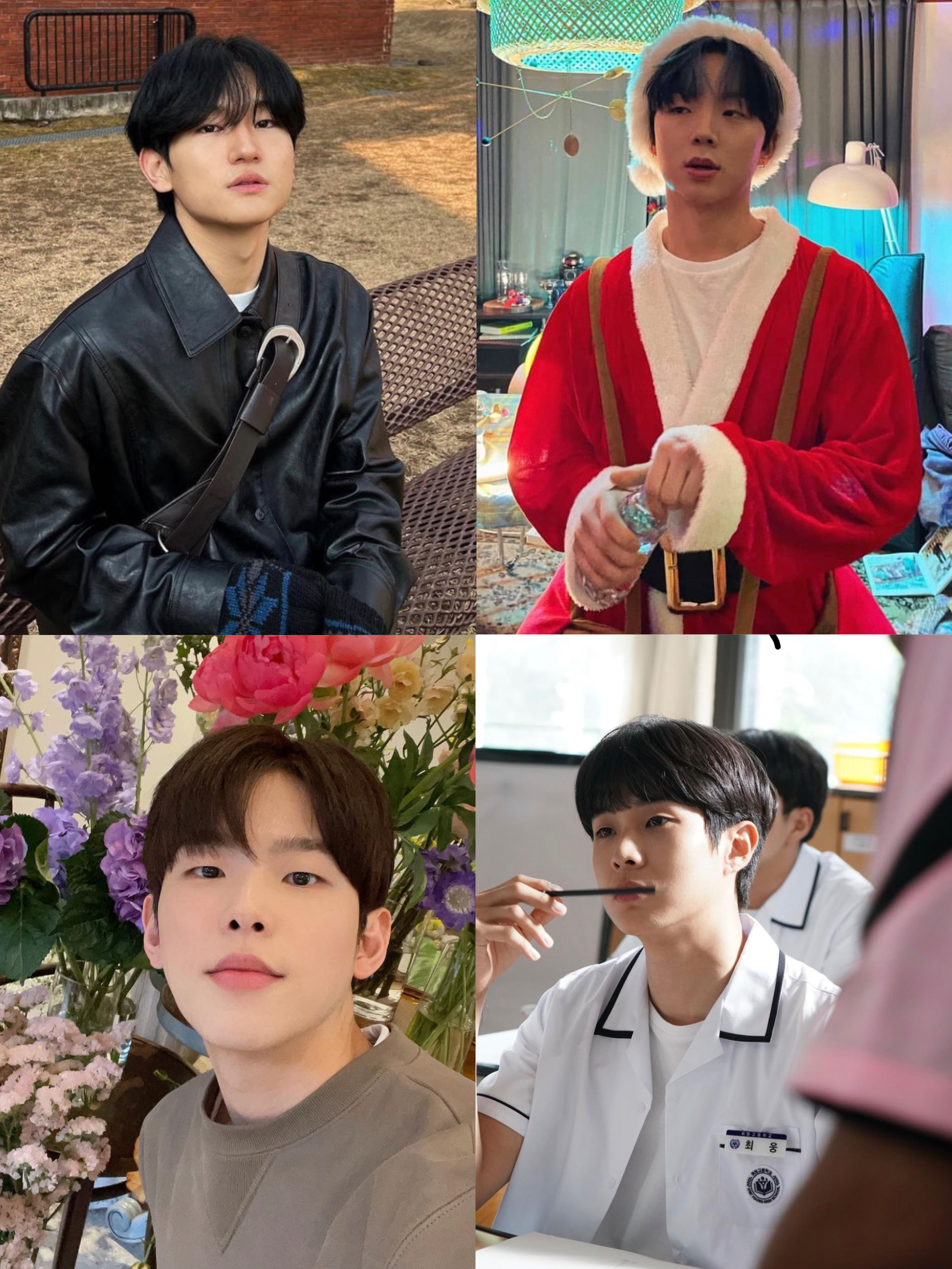 [잡담] 나 취향 소나무야? | 인스티즈