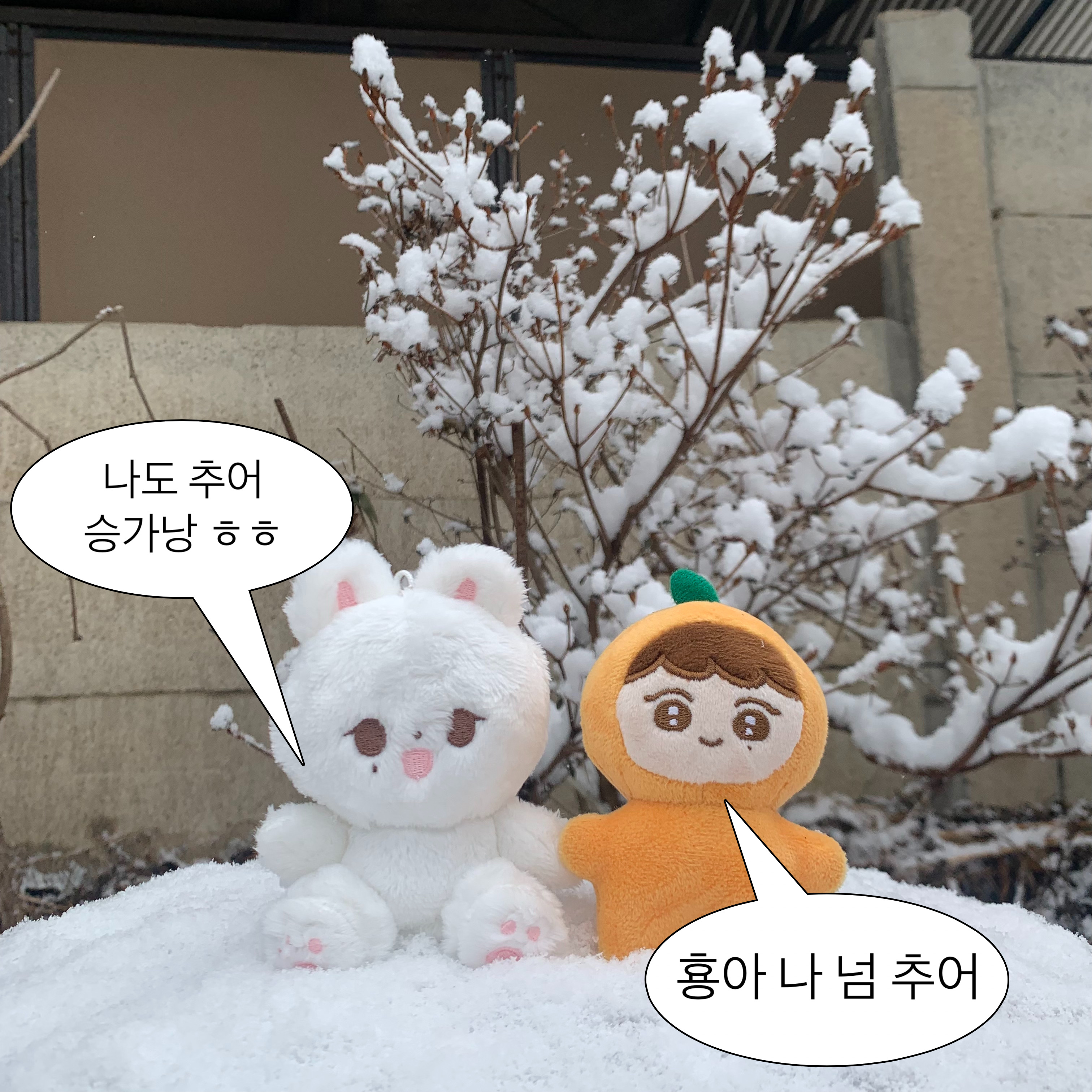 [잡담] 난 버보카도와 뿌라봉 둘 다 가졌지 하하 | 인스티즈