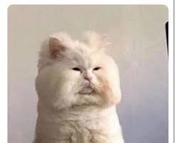 [잡담] 자다 깬 강호동 | 인스티즈