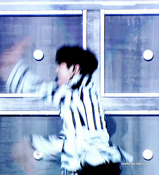 [잡담] 내 취향 진짜 강아지들 가득 | 인스티즈