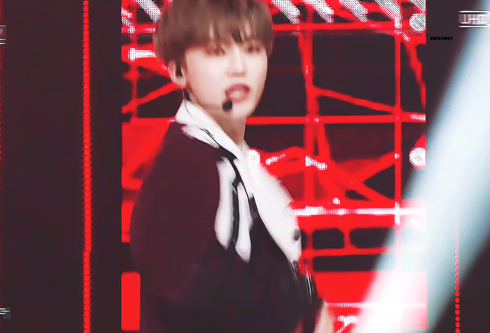 [잡담] 제 남돌여돌 최애들..소개합니다 | 인스티즈