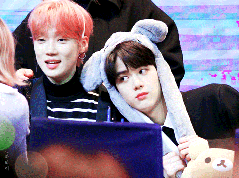 [잡담] 내최애들❤️ | 인스티즈