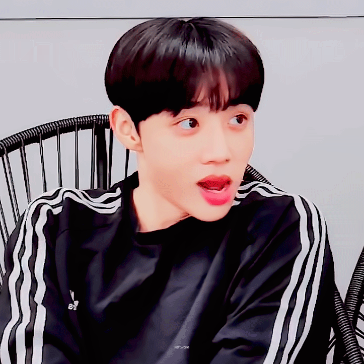 [잡담] 내 최애들의 결이 보이나?! | 인스티즈