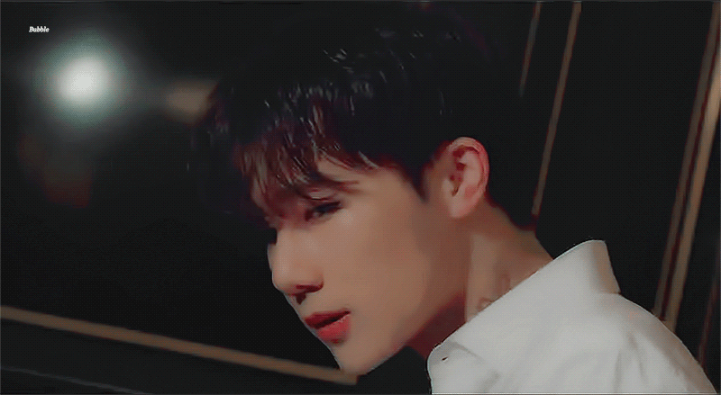 [잡담] 소나무는 아닌데 소나무인 최애들 | 인스티즈