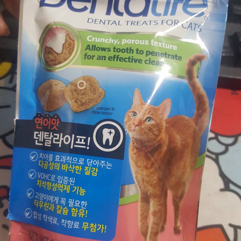 이거 고양이만 먹일수있나? | 인스티즈