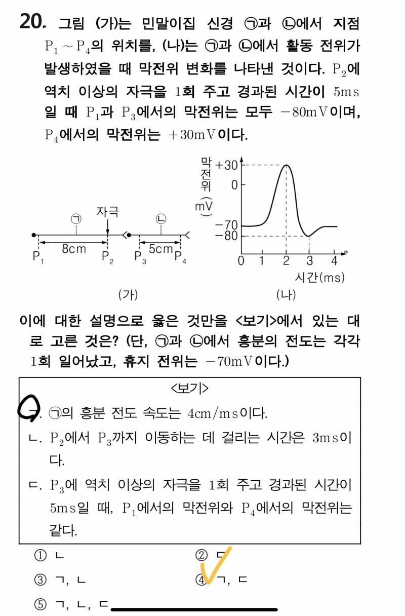 생명 잘하는 익드라!!! | 인스티즈
