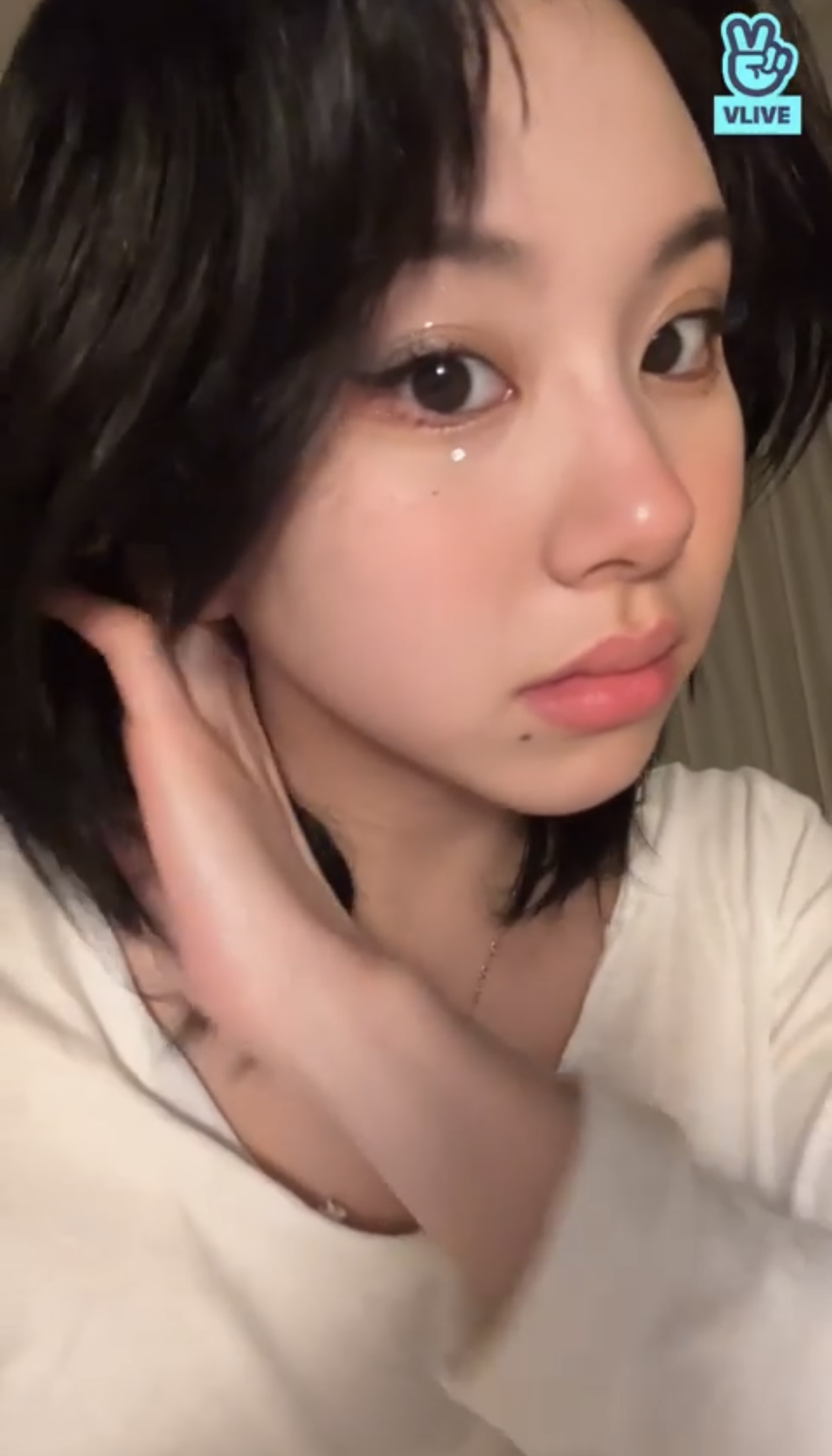 [잡담] 트와 채영 비주얼 미쳤나 ㅋㅋㅋㅋㅋㅋㅋㅋ | 인스티즈