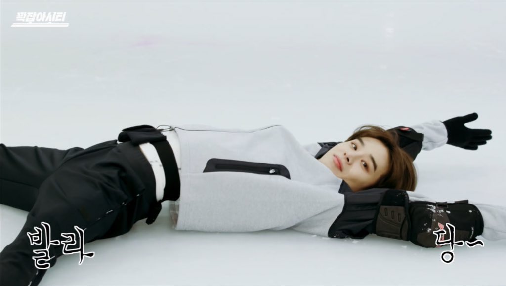 [잡담] 이 강아지는 그냥 내가 데꼬 살아야겟다 | 인스티즈