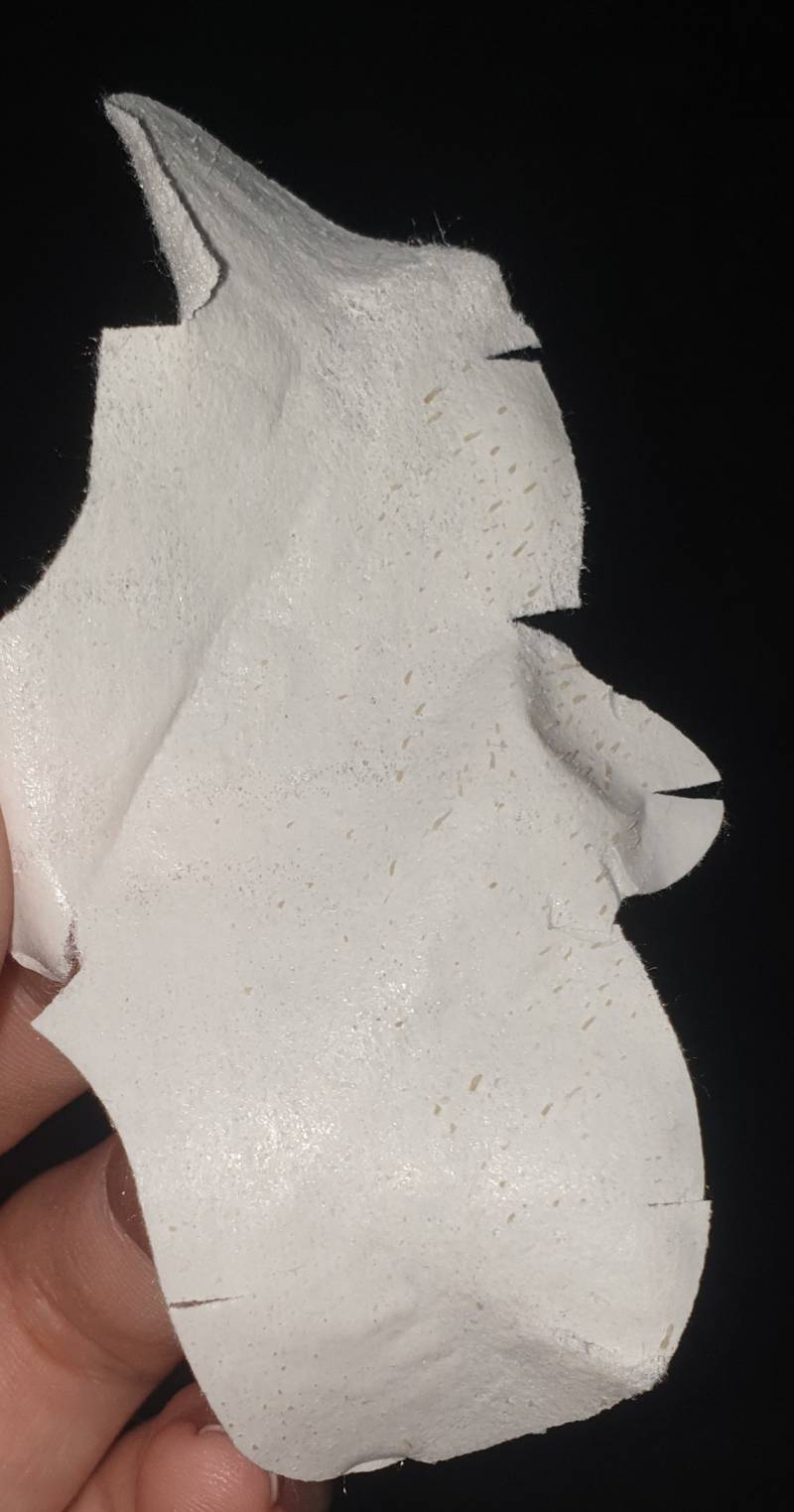 나 코팩 몇년만에 했는데 구경할사람(혐오주의)40 | 인스티즈