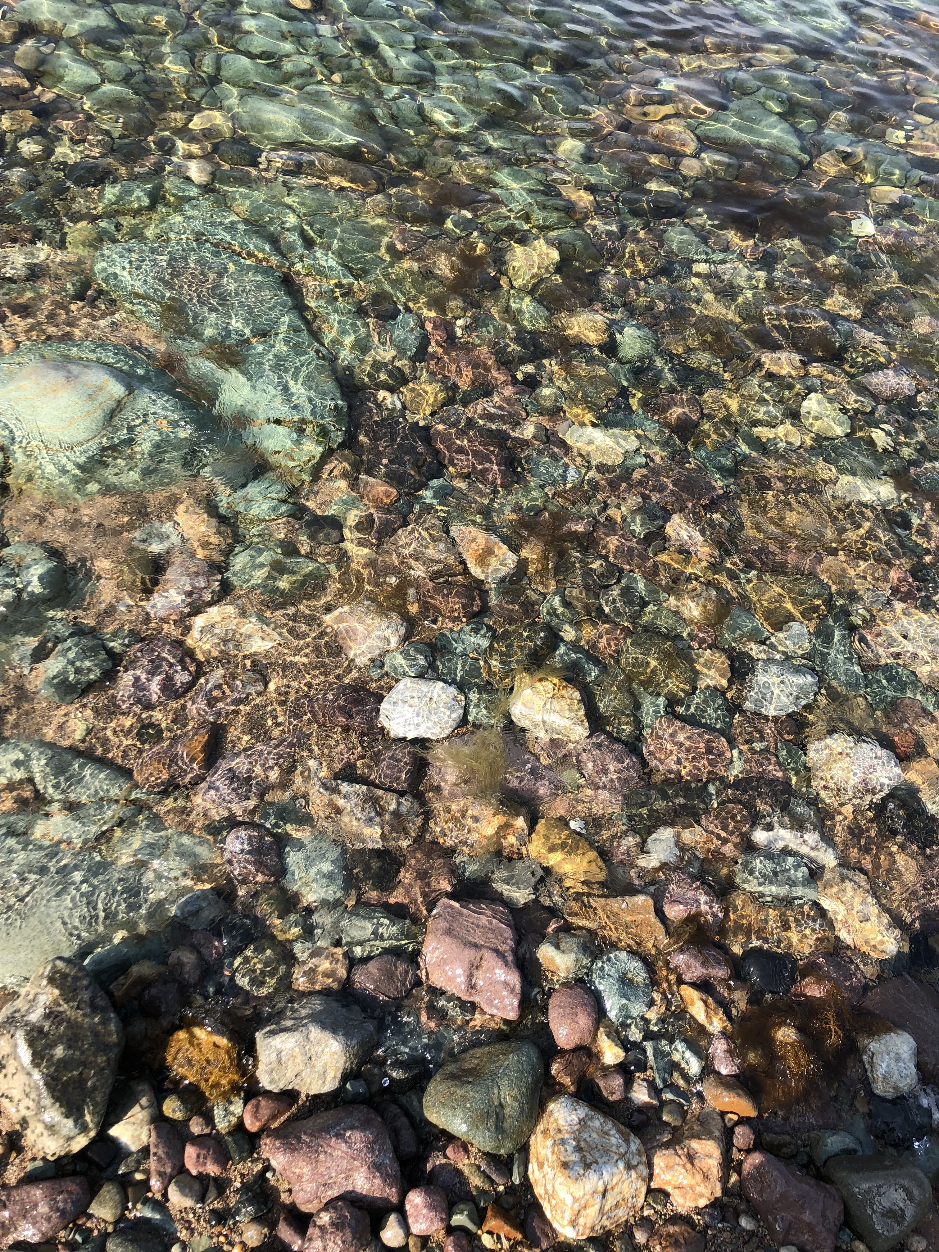 내가 찍은 돌 볼 사람 | 인스티즈